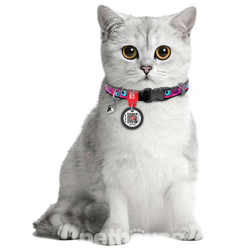 WauCat Nylon Нейлоновий нашийник "Око монстра" з QR-паспортом для котів