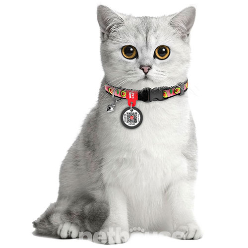 WauCat Nylon Нейлоновий нашийник "Авокадо на рожевому" з QR-паспортом для котів