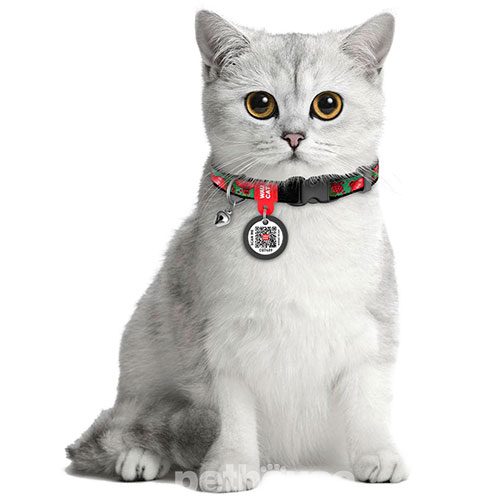 WauCat Nylon Нейлоновий нашийник "Гранати" з QR-паспортом для котів