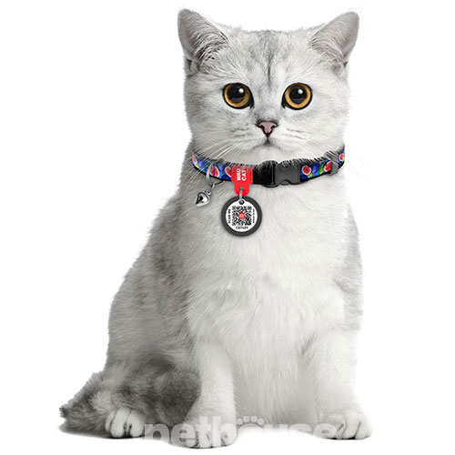 WauCat Nylon Нейлоновий нашийник "Інжир" з QR-паспортом для котів
