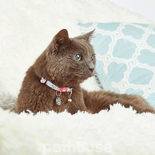 Max & Molly Smart ID Нашийник "Cherry Bloom" для котів