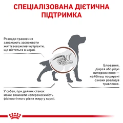 Royal Canin Gastrointestinal Low Fat Dog - Ветеринарна дієта зі зниженою жирністю для дорослих собак при порушеннях травлення