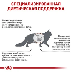 Royal Canin Корм з м'ясо та м'ясні субпродукти для котів