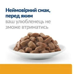 Hill's Корм з курка свинина лосось для котів