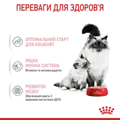 Royal Canin Паштет з м'ясо та м'ясні субпродукти для кошенят