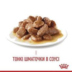 Royal Canin Вологий корм (шматочки в желе) з м'ясо та м'ясні субпродукти для дорослих котів
