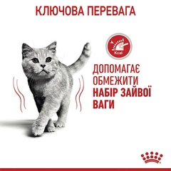 Royal Canin Вологий корм (шматочки в желе) з м'ясо та м'ясні субпродукти для дорослих котів