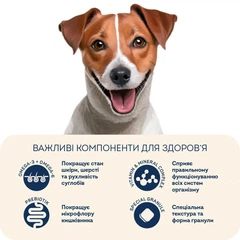 Низькозерновий корм для активних собак та юніорів малих порід Home Food з ягням та рисом 1,6кг (4820290092198)