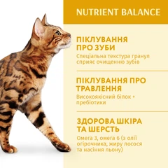 Optimeal Корм з куркою для дорослих котів