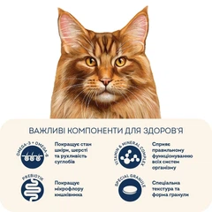 Корм для котів великих порід Home Food з телятиною, лососем та в'яленими томатами 10 кг (4820235021191)