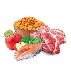 Home Food Корм з риба ягня лосось для дорослих котів