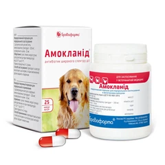 Бровафарма Амокланід капсули по 0,5 г, 25 штук