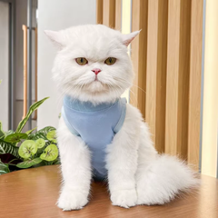 Одяг для котів після операції Holley Blue L
