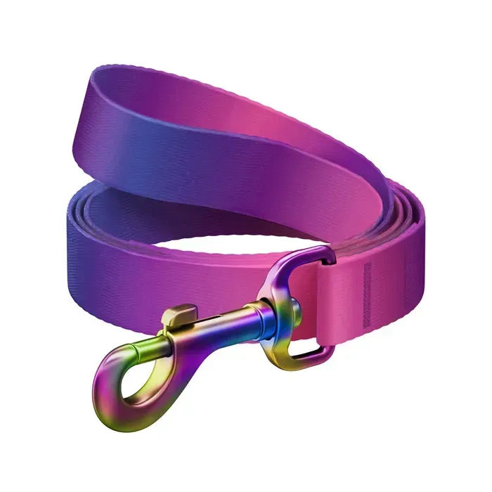 Повідець для собак Collar Waudog Nylon Recycled L-XXL - фіолетовий