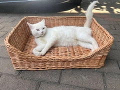 Без бренду Лежак плетений для кота коричневий (0090)