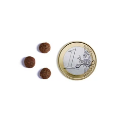Ambrosia Grain Free - Сухий беззерновий корм зі свіжим лососем та куркою для стерилізованих котів
