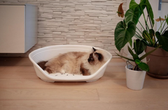 Пластиковий лежак для собак та котів Ferplast Siesta Deluxe 2 білий 49х36х17.5 см 70202911