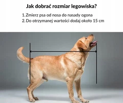 Без бренду Великий лежак-вольєр для собаки 115x95 Dogs4life водонепроникний міцний