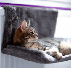 Гамак-лежак для кошек PetJoy до 4 кг серый 48х30 см