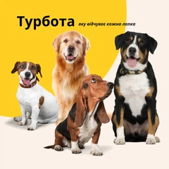 Лежанка матрац IDEIA 70х110х12 см для домашніх улюбленців L (чохол з блискавкою та подушкою), Сірий 000036164