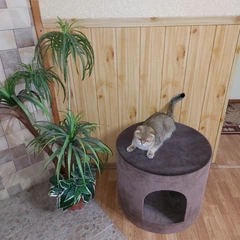 Без бренду Великий затишний будиночок для великих порід котів, собачок 40х45см