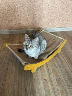 Без бренду Гамак лежанка для котів релакс + подарунок парова щітка для вичісування котів