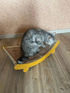 Без бренду Гамак лежанка для котів релакс + подарунок парова щітка для вичісування котів