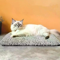 Без бренду Килимок для тварин сірий 40*50 см