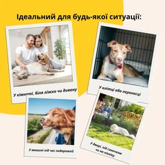 Лежанка матрац IDEIA 80х120х12см для домашніх улюбленців XL (чохол з блискавкою та подушкою), Сірий 000036165