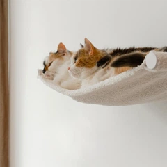 Настінний гамак для котів, ліжко для кота Kitsune Garden 66-30-9 см, колір слонова кістка/білий