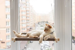 Лежак-гамак на вікно для котів PetJoy wwhite1beige