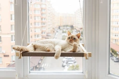 Лежак-гамак на вікно для котів PetJoy wwhite1beige