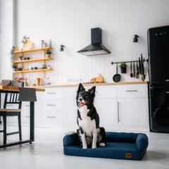 Софа для собак Noble Pet London Blue 80 х 60 см (L2123)