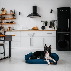 Софа для собак Noble Pet London Blue 80 х 60 см (L2123)