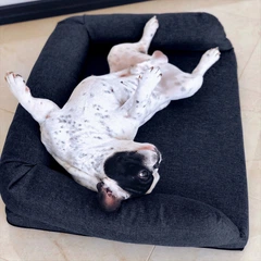 Софа для собак Noble Pet London Blue 80 х 60 см (L2123)
