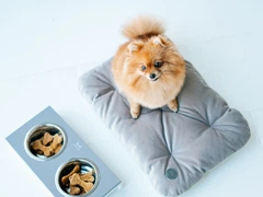 Подушка-підстілка для собак Harley and Cho Velour pillow Tomas Gray M