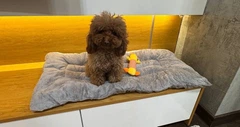 Solve Килимок-лежанка для собак 45 х 90 см сірий — м’який пухнастий теплий, антиковзкий , 500 г KT7005804
