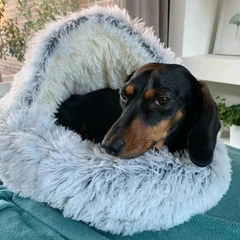 Luposan Плюшева лежанка Люпосанчик Green Plush Pet Bed для котів і собак, d - 80 см Green