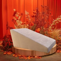 Без бренду Пандус для собачок 60*35*30 капучіно