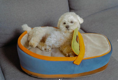 Лежак для собак та котів Happy Peppy Slipper 60х40 см Синій