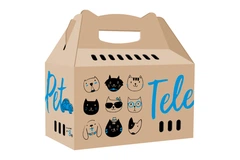 Коробка-переноска Collar TelePet 45.5x22x43.5 см до 8 кг (9070)