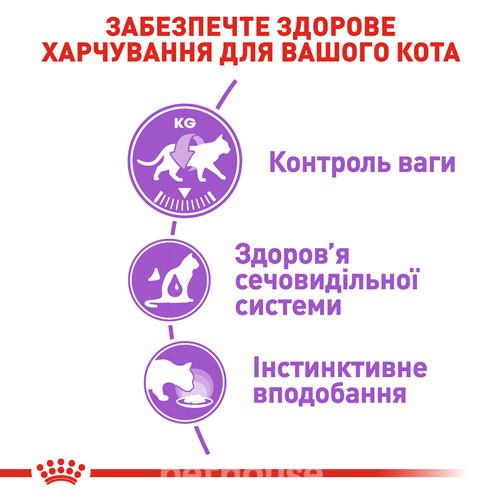 Royal Canin Вологий корм (шматочки в желе) з м'ясо та м'ясні субпродукти для дорослих котів
