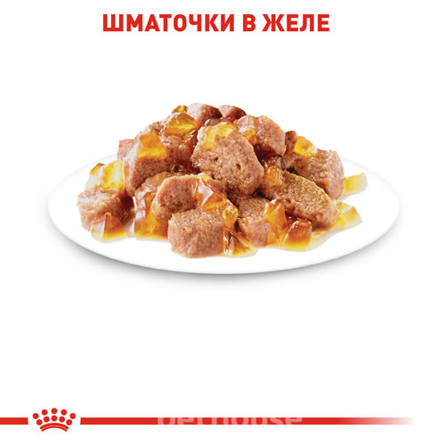 Royal Canin Вологий корм (шматочки в желе) з м'ясо та м'ясні субпродукти для дорослих котів