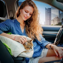 Сумка-переноска WAUDOG Relax Eco 44х35х22 см для котів та дрібних порід собак до 8 кг