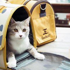 Voyagerpet Переноска для котів Voyager Pet TouchCat LVGB2411