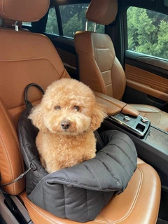 Автокрісло для собак та котів сумка-переноска Petsonite Чорна