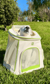 Рюкзак-переноска WAUDOG Relax Eco 40х40х26 см для котів та дрібних порід собак до 8 кг