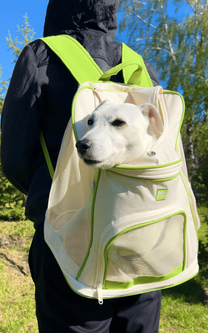 Рюкзак-переноска WAUDOG Relax Eco 40х40х26 см для котів та дрібних порід собак до 8 кг