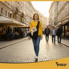 Без бренда Сумка-перенесення для собак, кішок та дрібних тварин Purlov, чорна