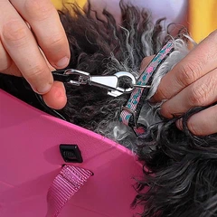 М'яка переноска для маленьких собак Ferplast With-Me Small Fuchsia